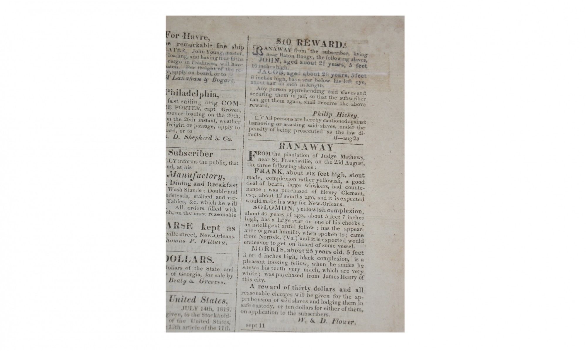 Mulatto and mestizo image