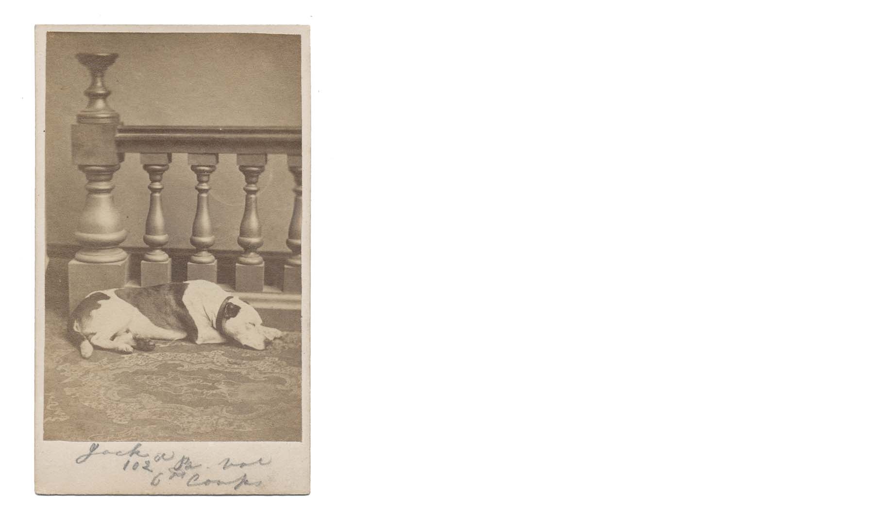 CDV OF “JACK” THE DOG MASCOT OF THE 102ND PENNSYLVANIA VOLUNTEERS