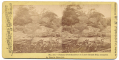 TIPTON STEREOCARD OF THE POSITION OF THE PENNSYLVANIA RESERVES ON LITTLE ROUND TOP AT GETTYSBURG 