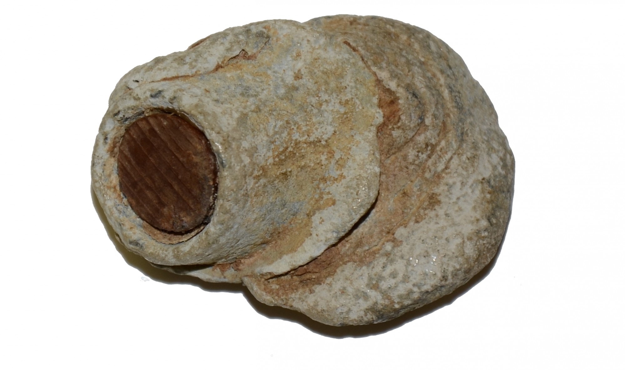 COLLIDED BULLETS FROM COLD HARBOR