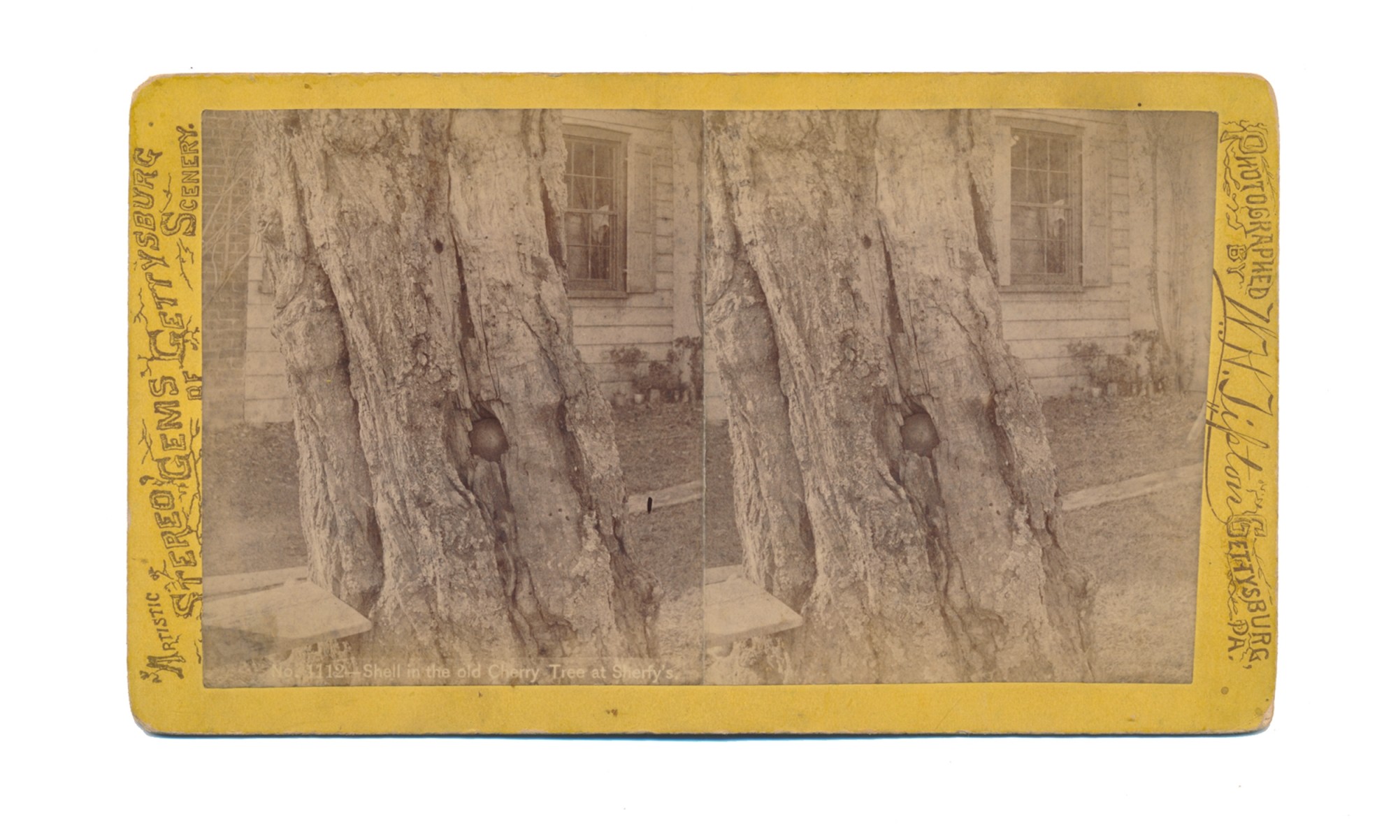 TIPTON STEREO VIEW OF SOLID SHOT IN TREE NEXT TO SHERFY HOUSE, GETTYSBURG