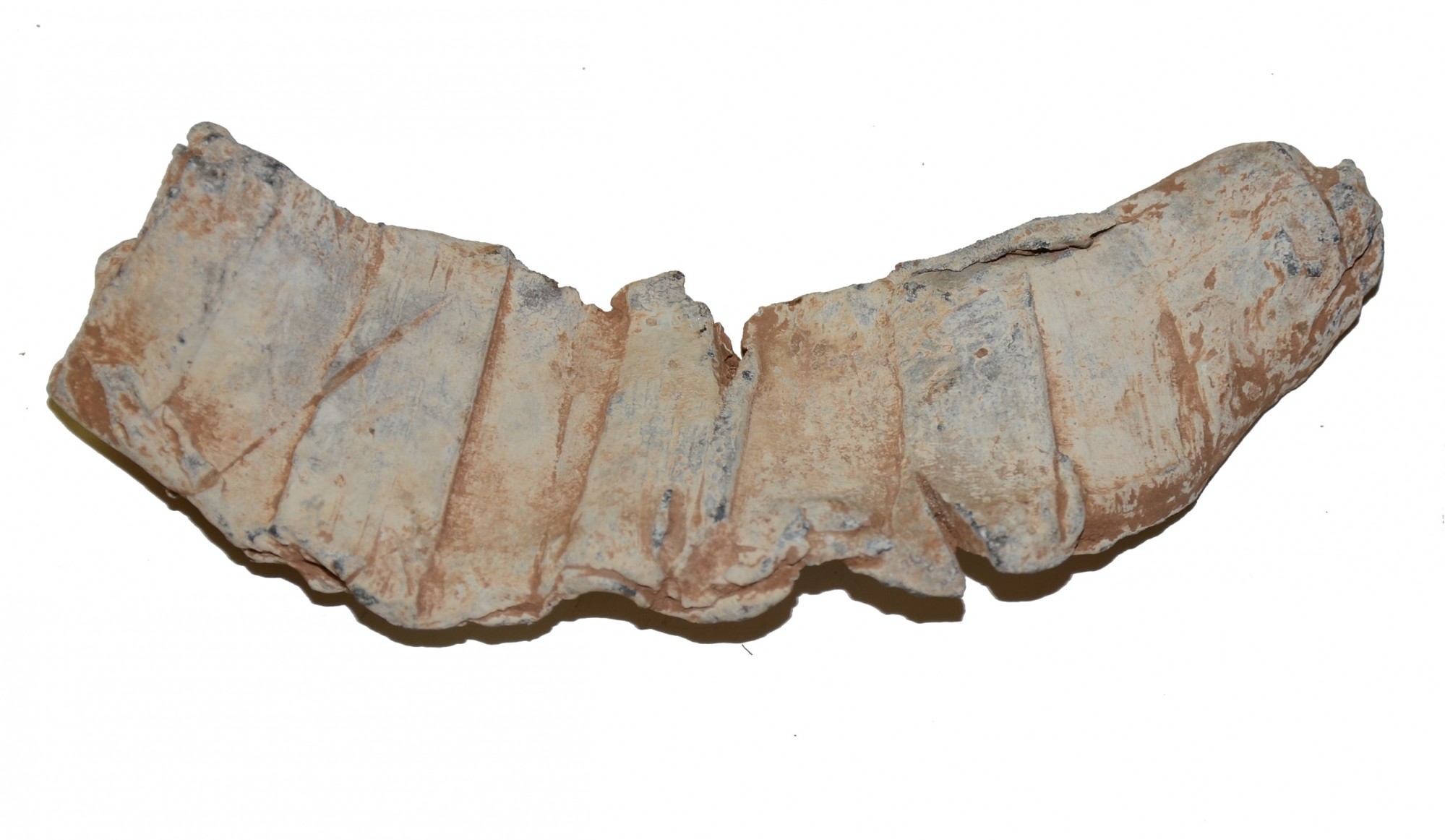 Canteen hygiene in eastern visayas state university essay 07 picture