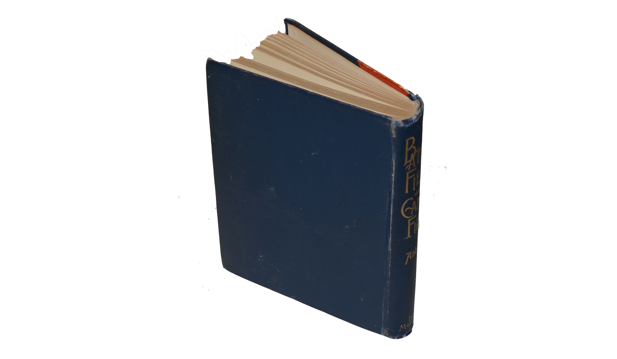 Image 2