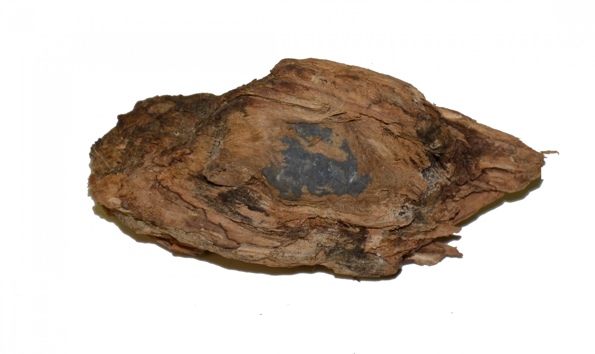 US/CS .58 CALIBER MINIE BALL IN WOOD – GETTYSBURG