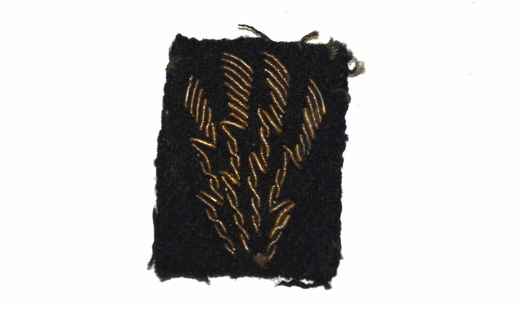 POSSIBLE WORLD WAR ONE INSIGNIA