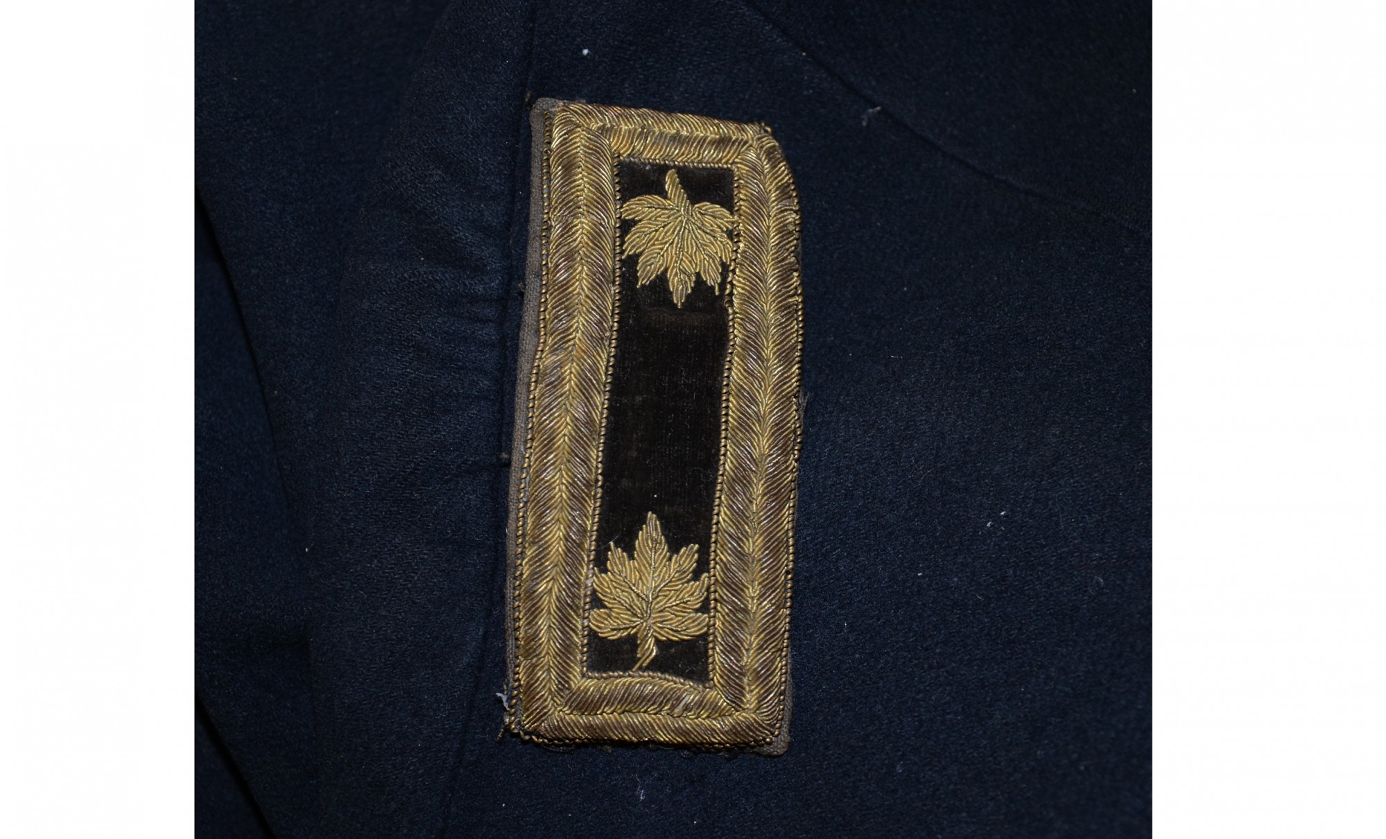 Image 11