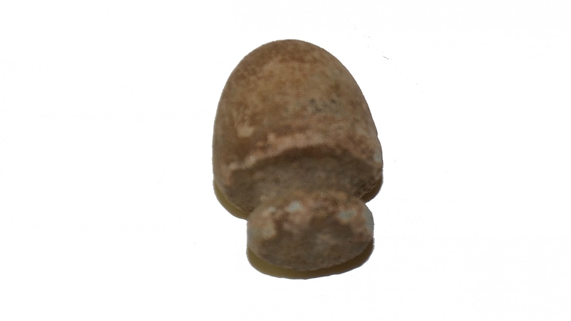 ENGLISH .44 CALIBER TRANTER BULLET RECOVERED ON LITTLE ROUND TOP, GETTYSBURG