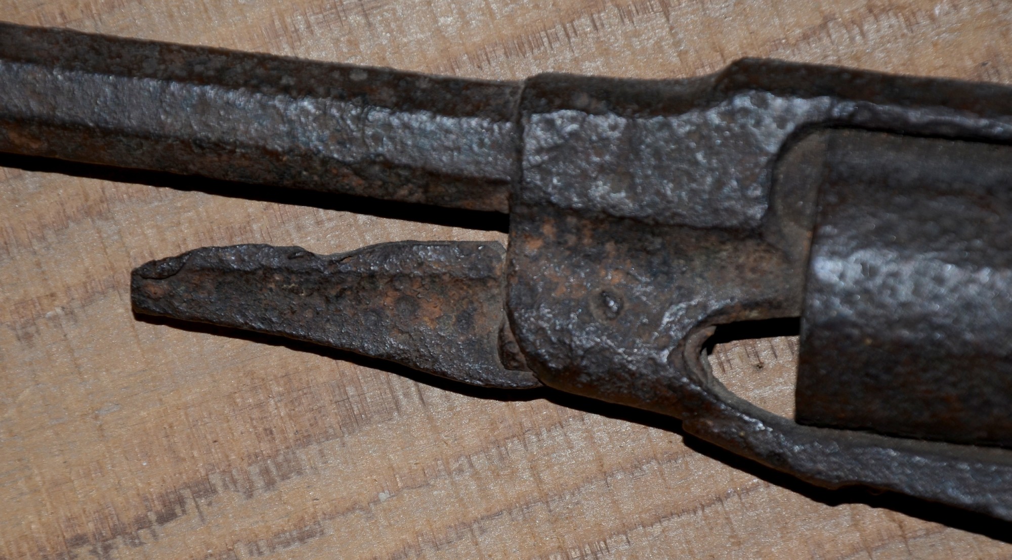 Image 4