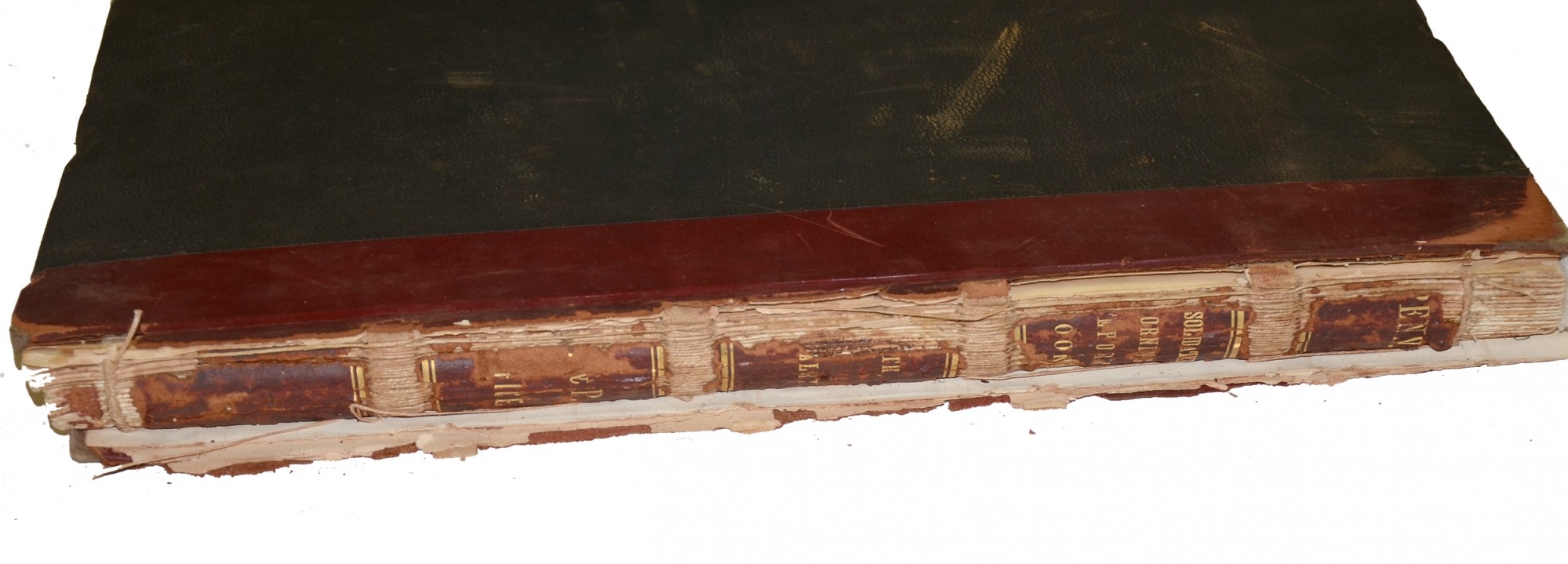Image 7
