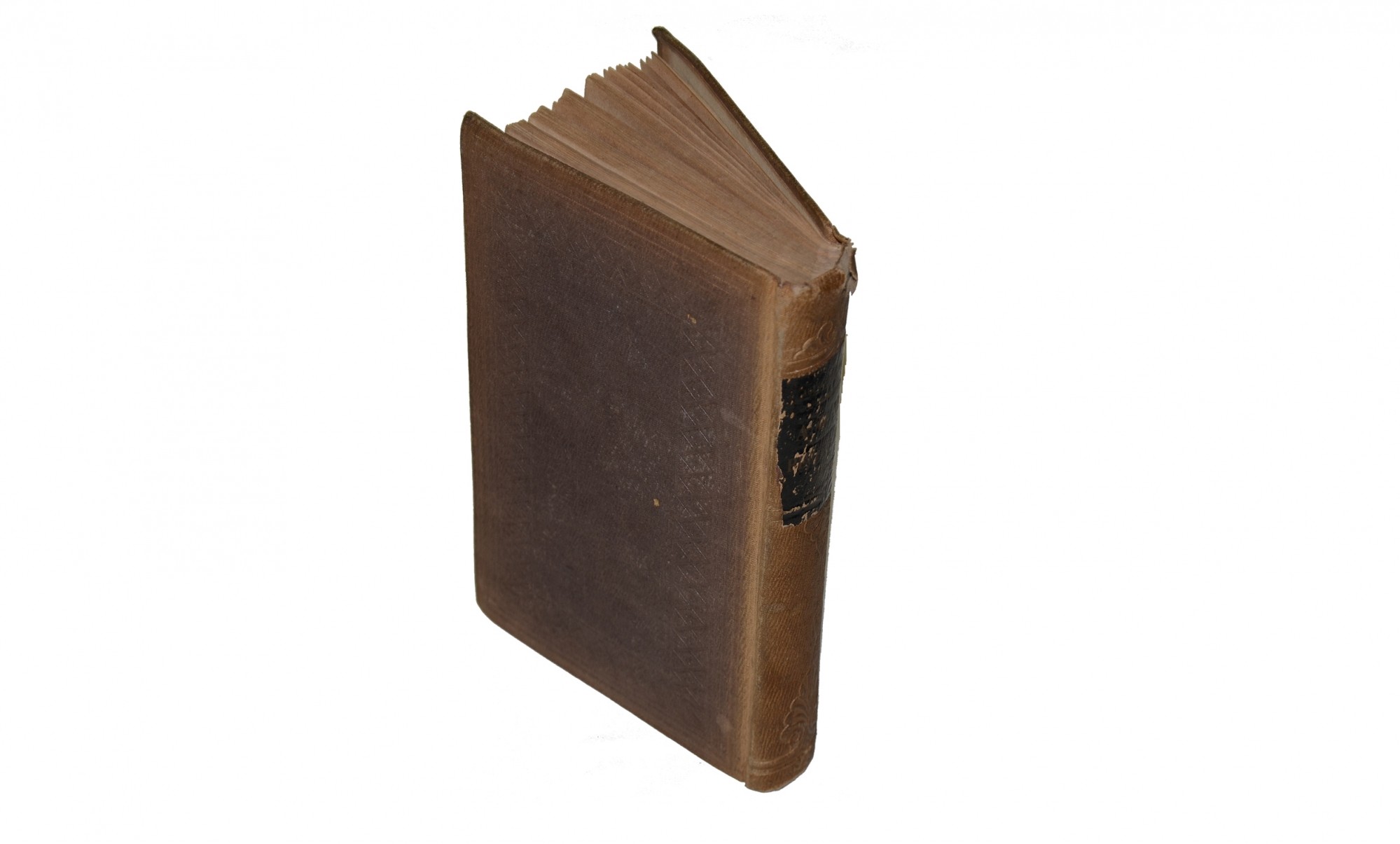 Image 2