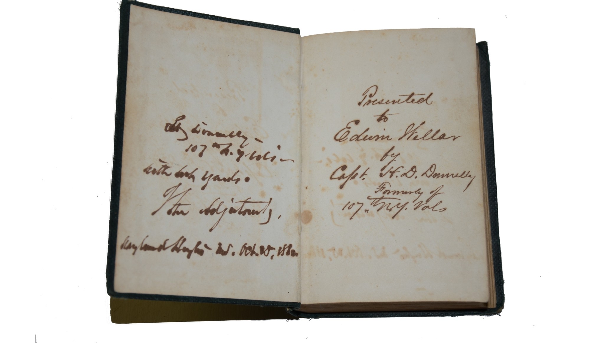 Image 3