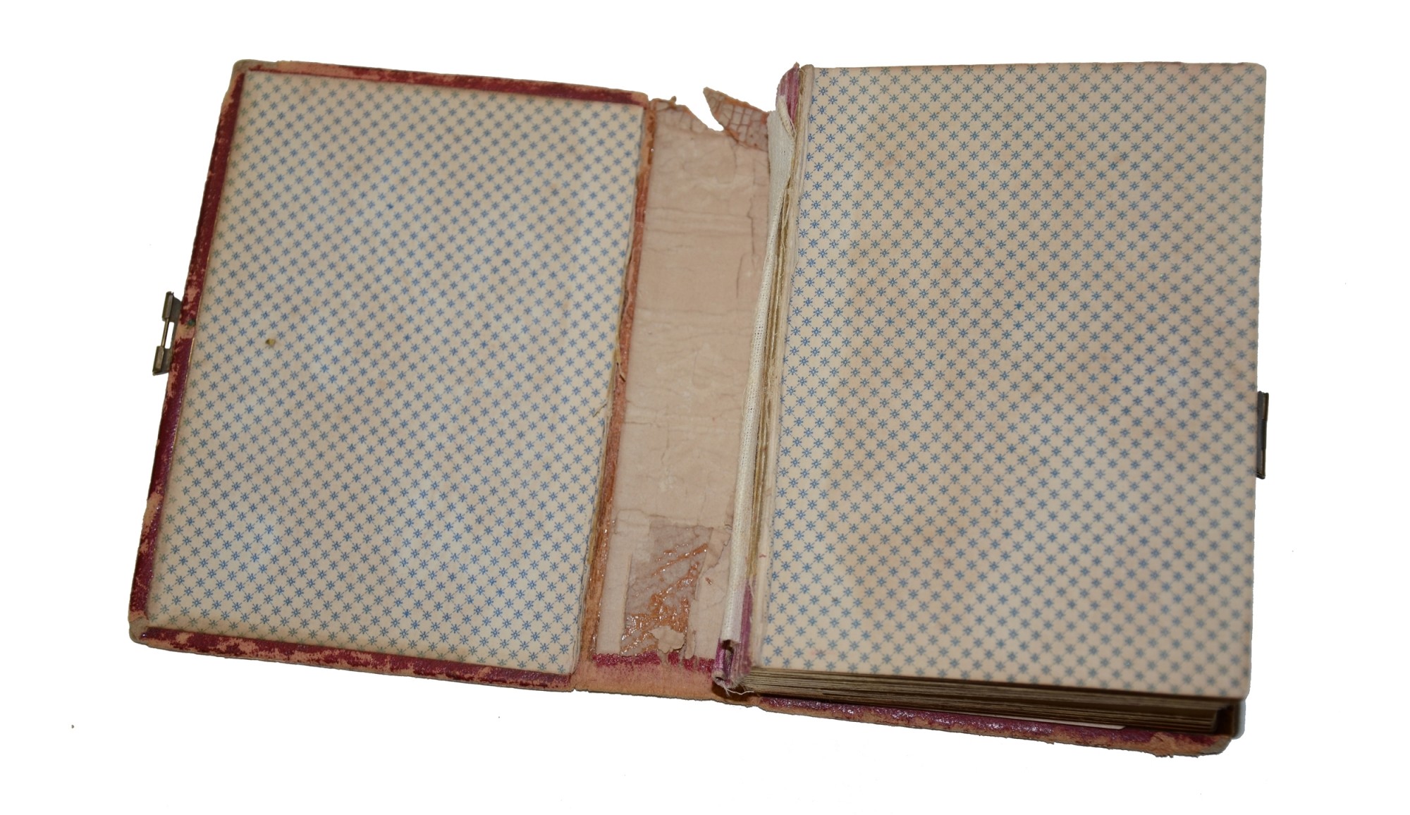 Image 4