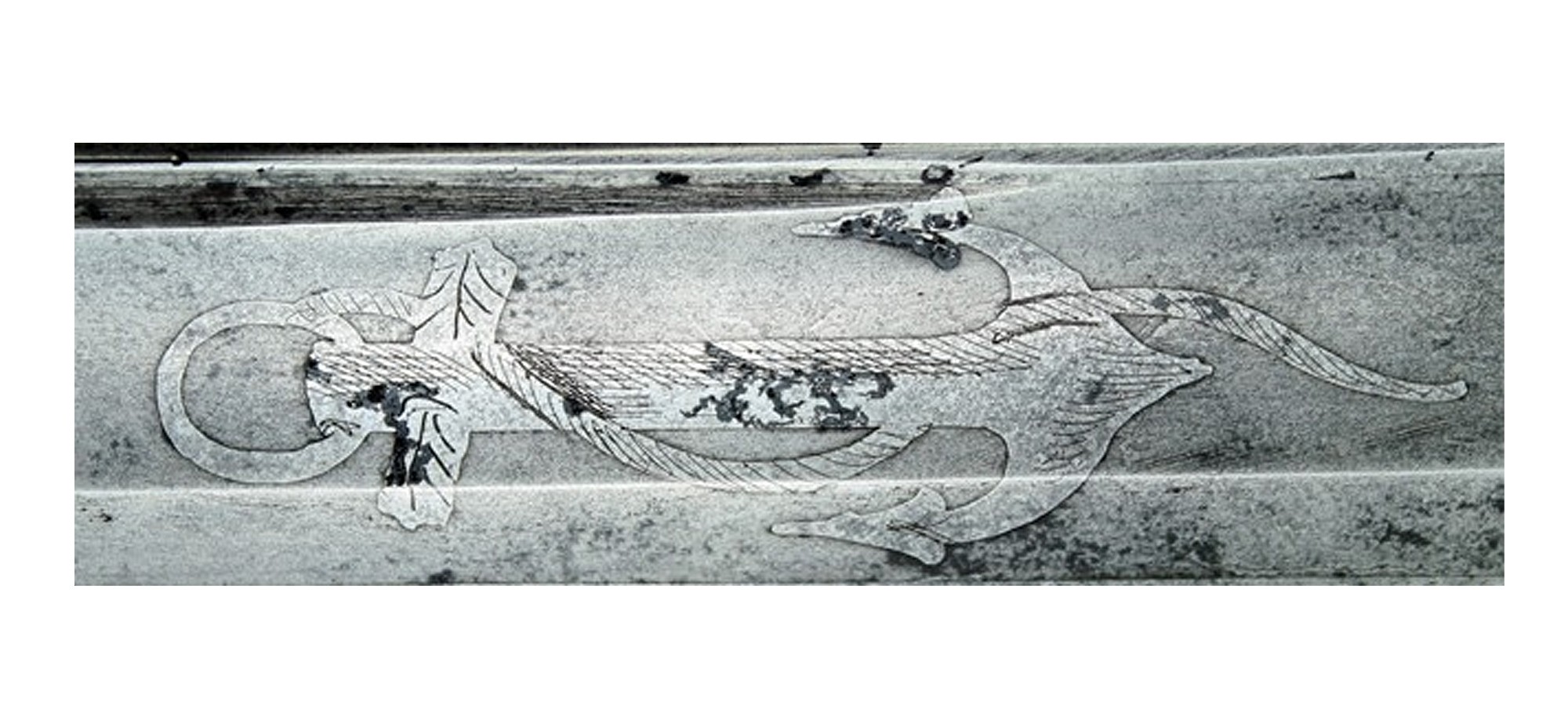 Image 14