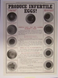 PRODUCE INFERTILE EGGS