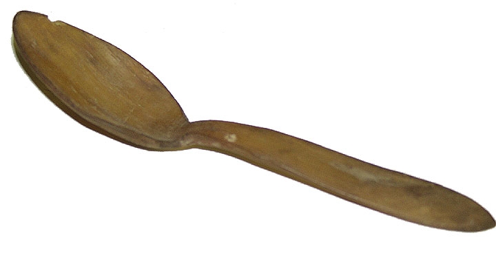 HORN SPOON