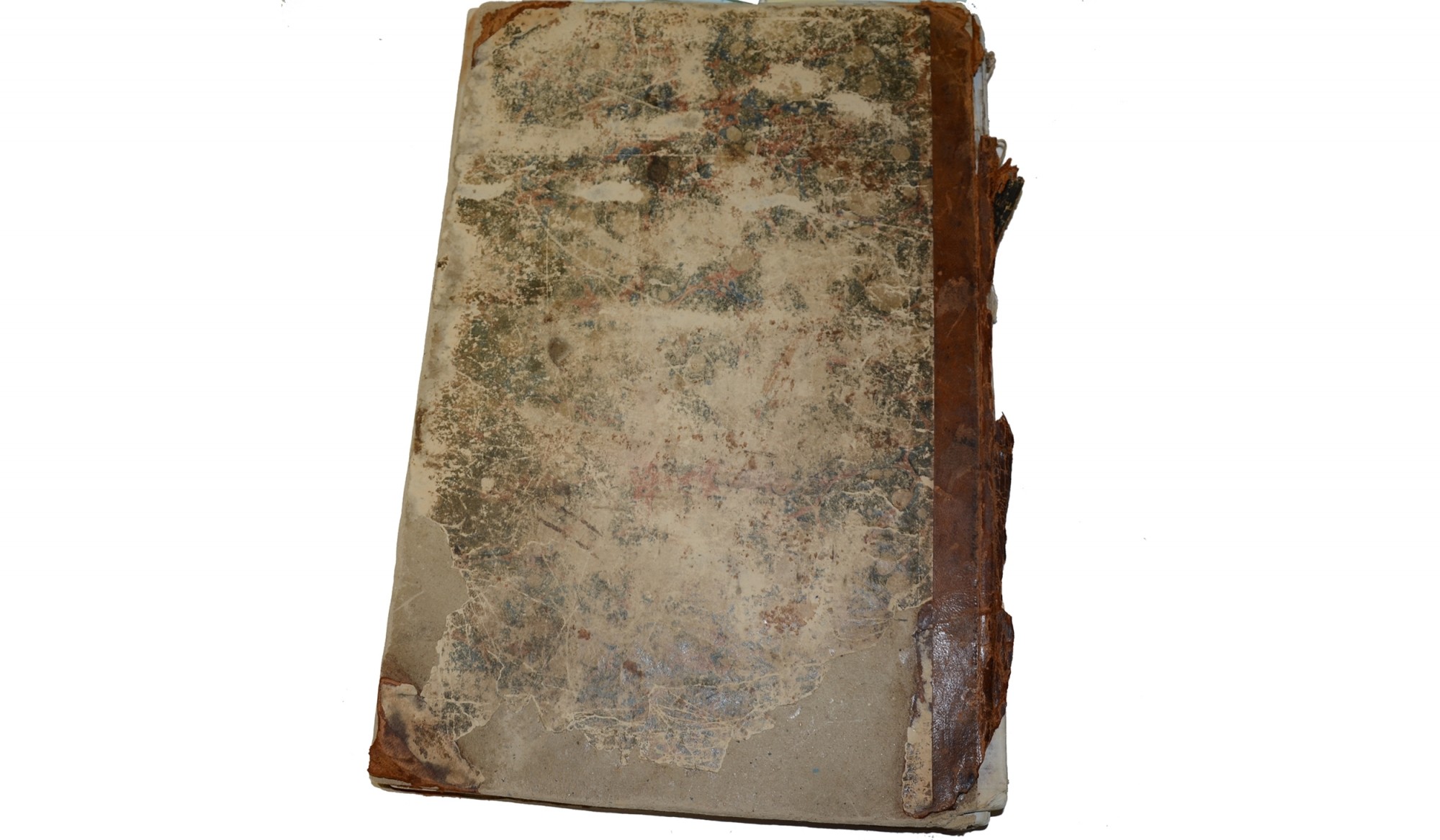 Image 14