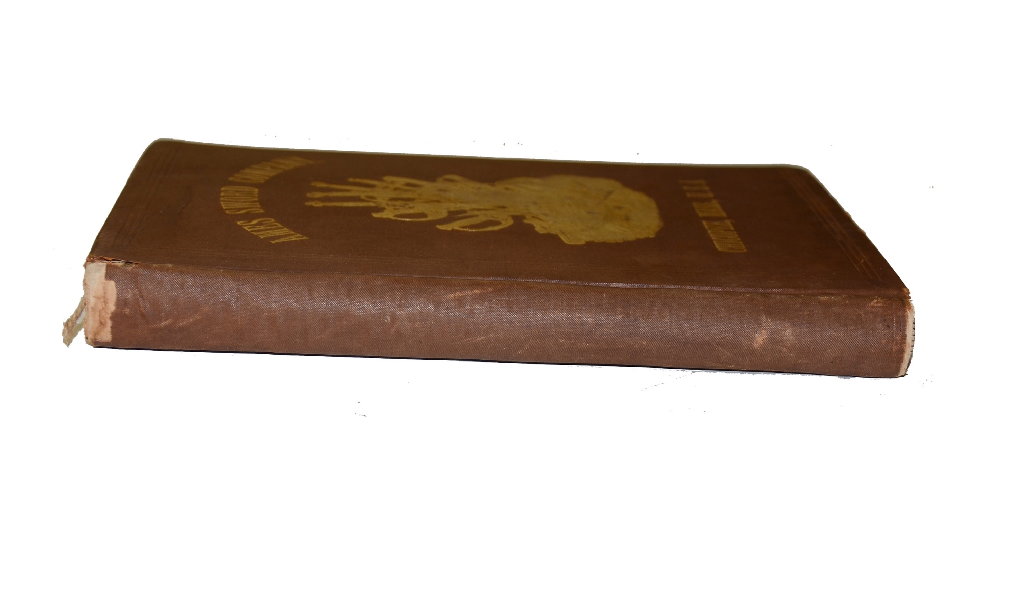 Image 3