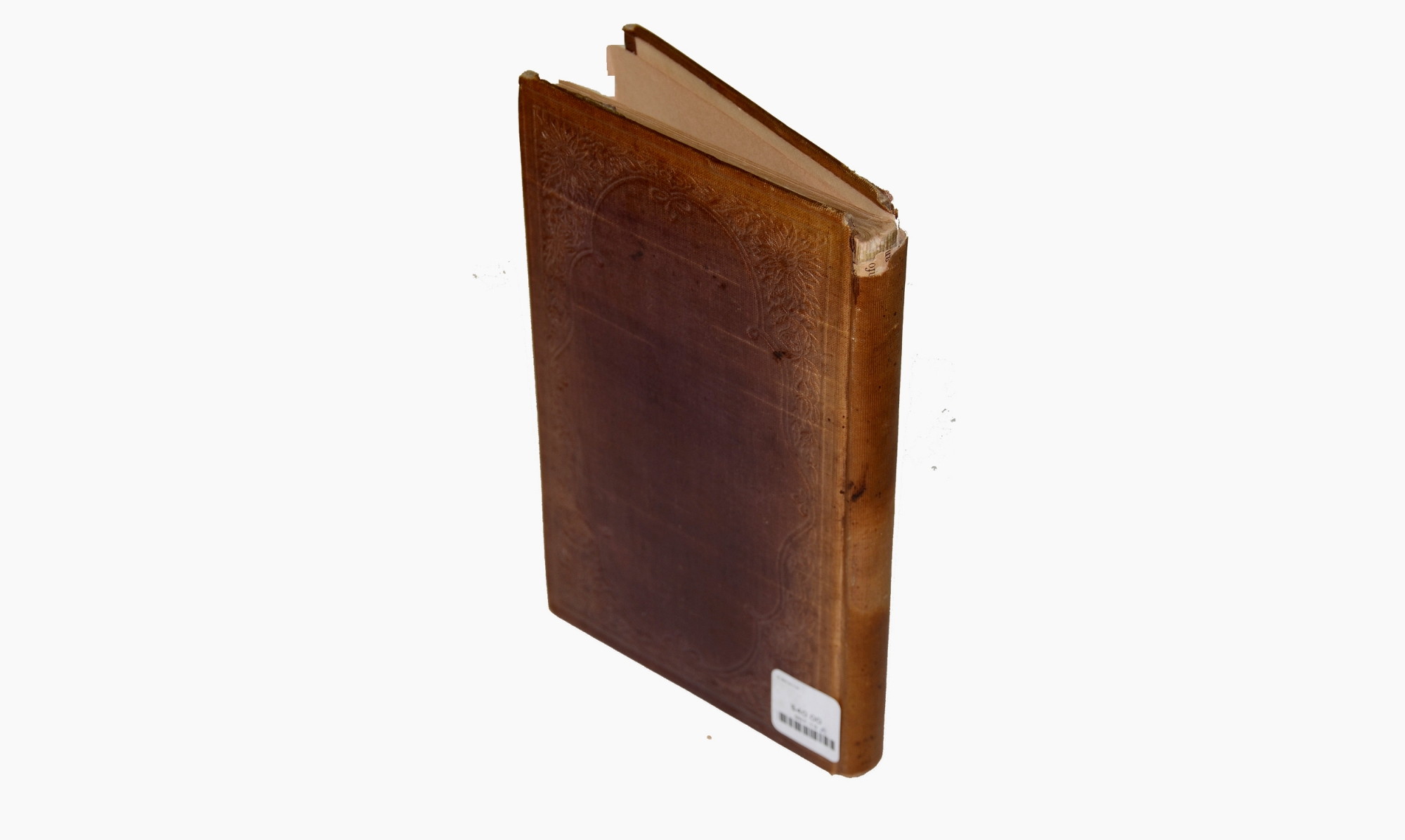 Image 2
