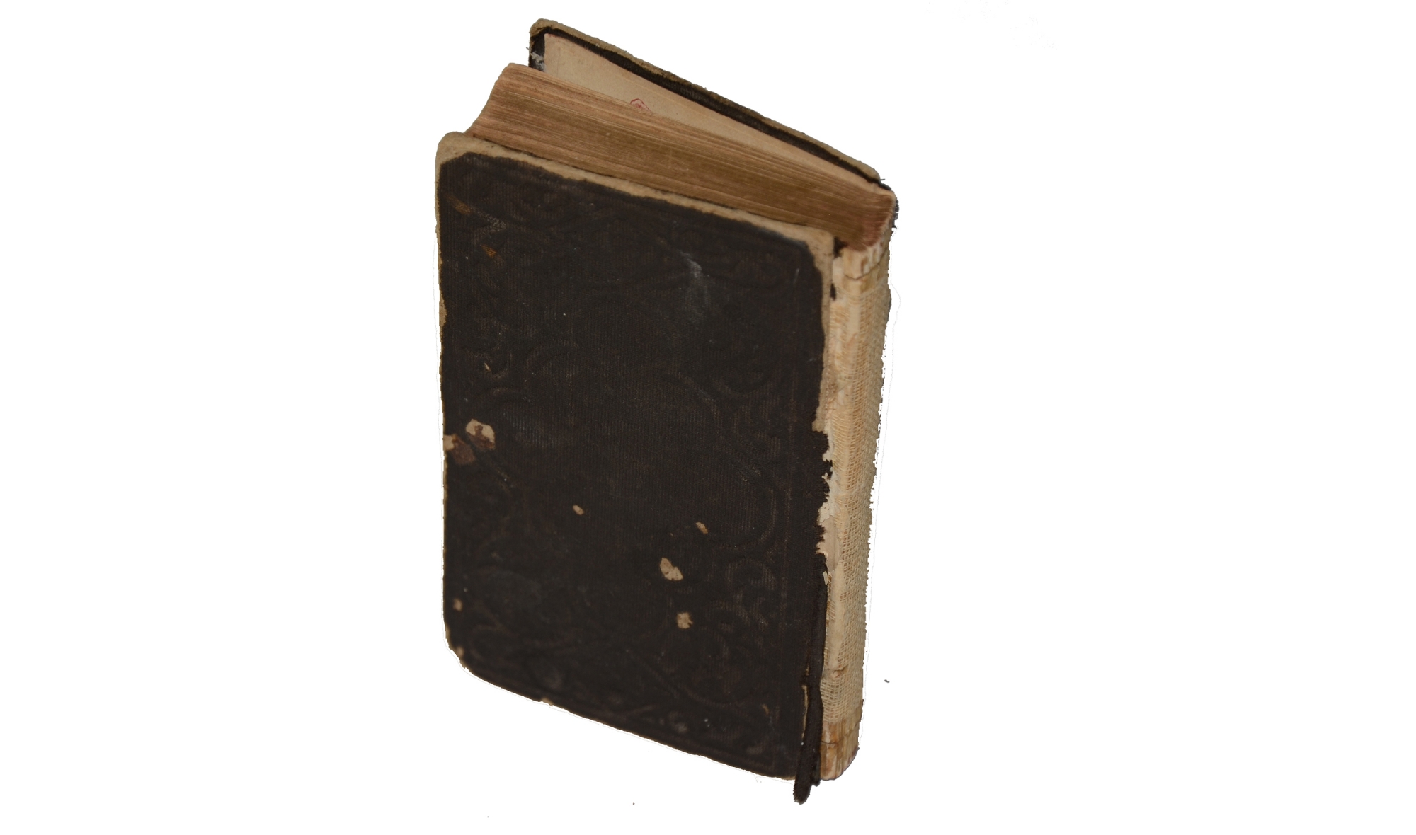 Image 2