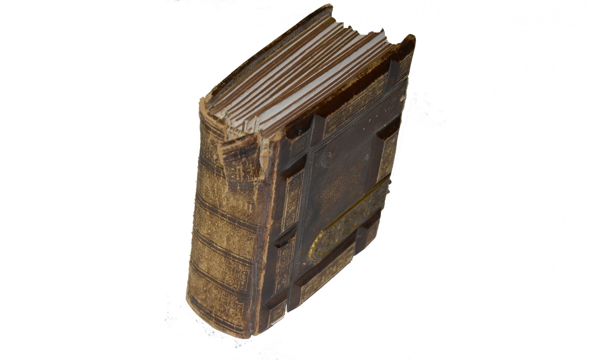 Image 2