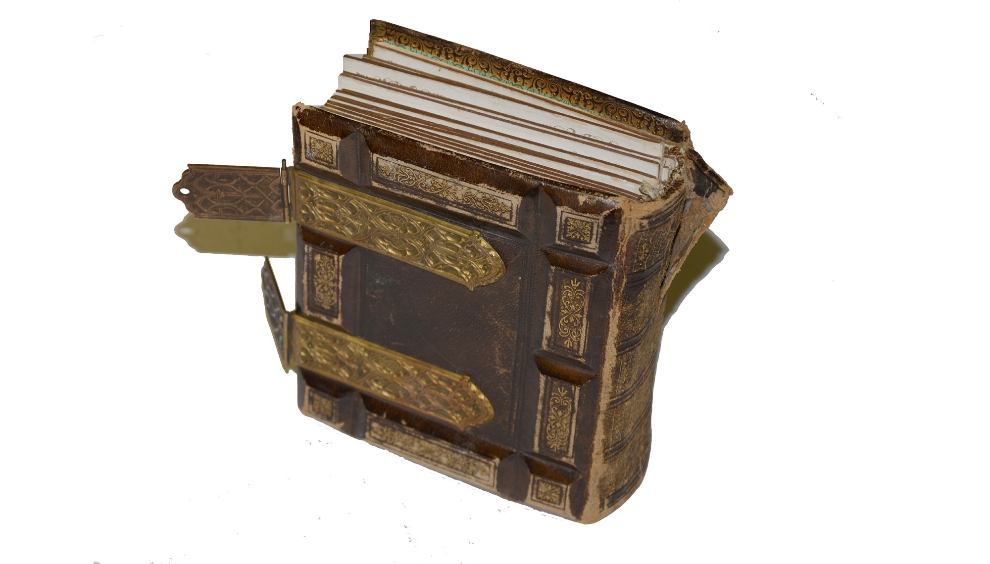 Image 3
