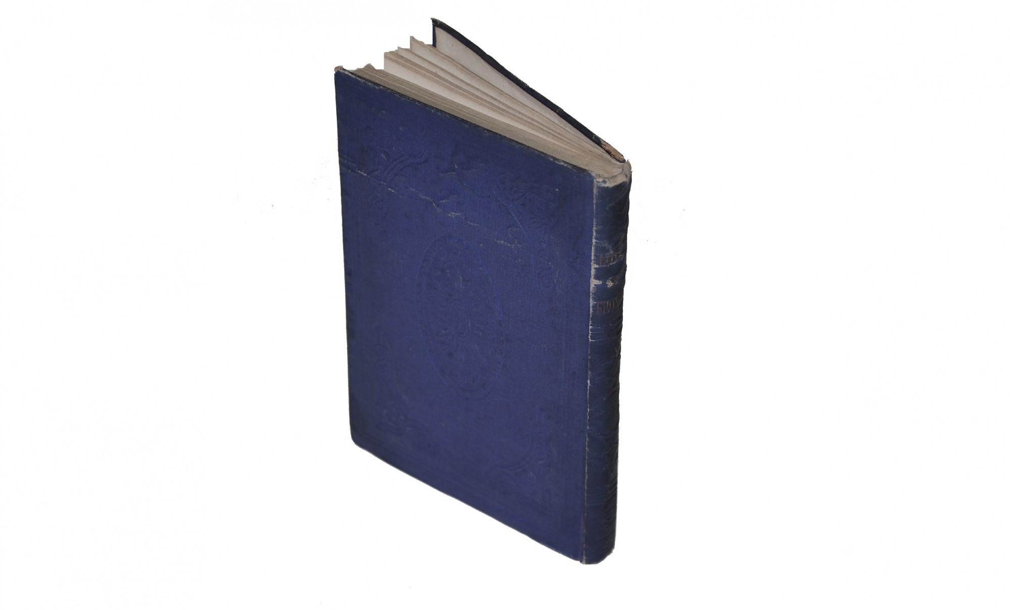 Image 2