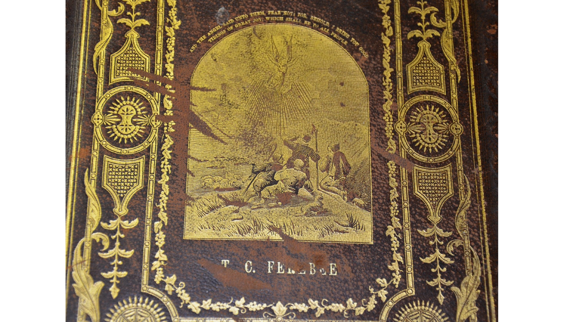Image 3
