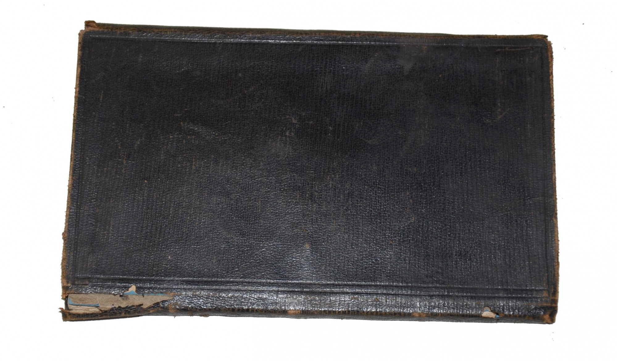 Image 7