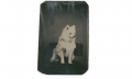 1/8 PLATE TINTYPE OF WHITE DOG