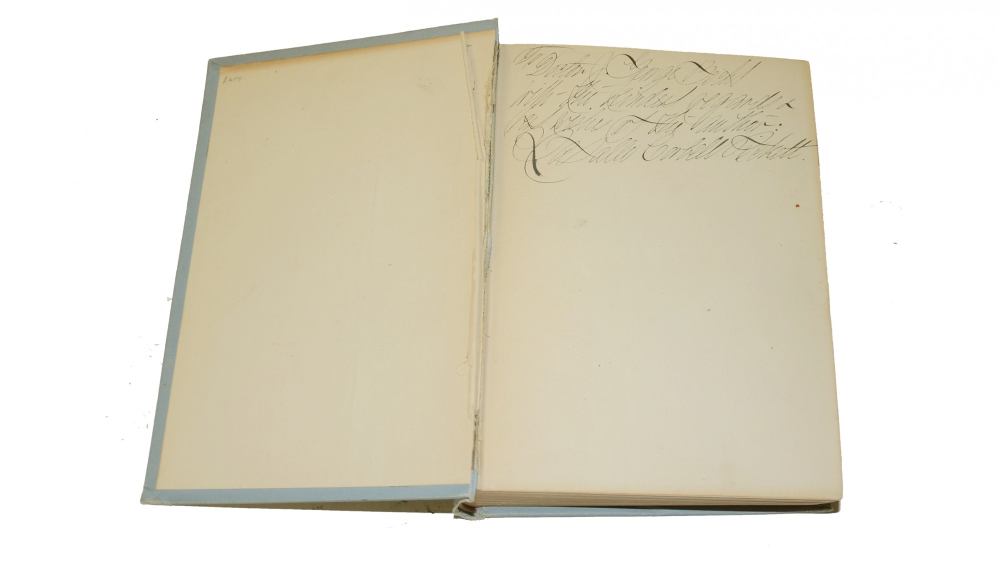 Image 3