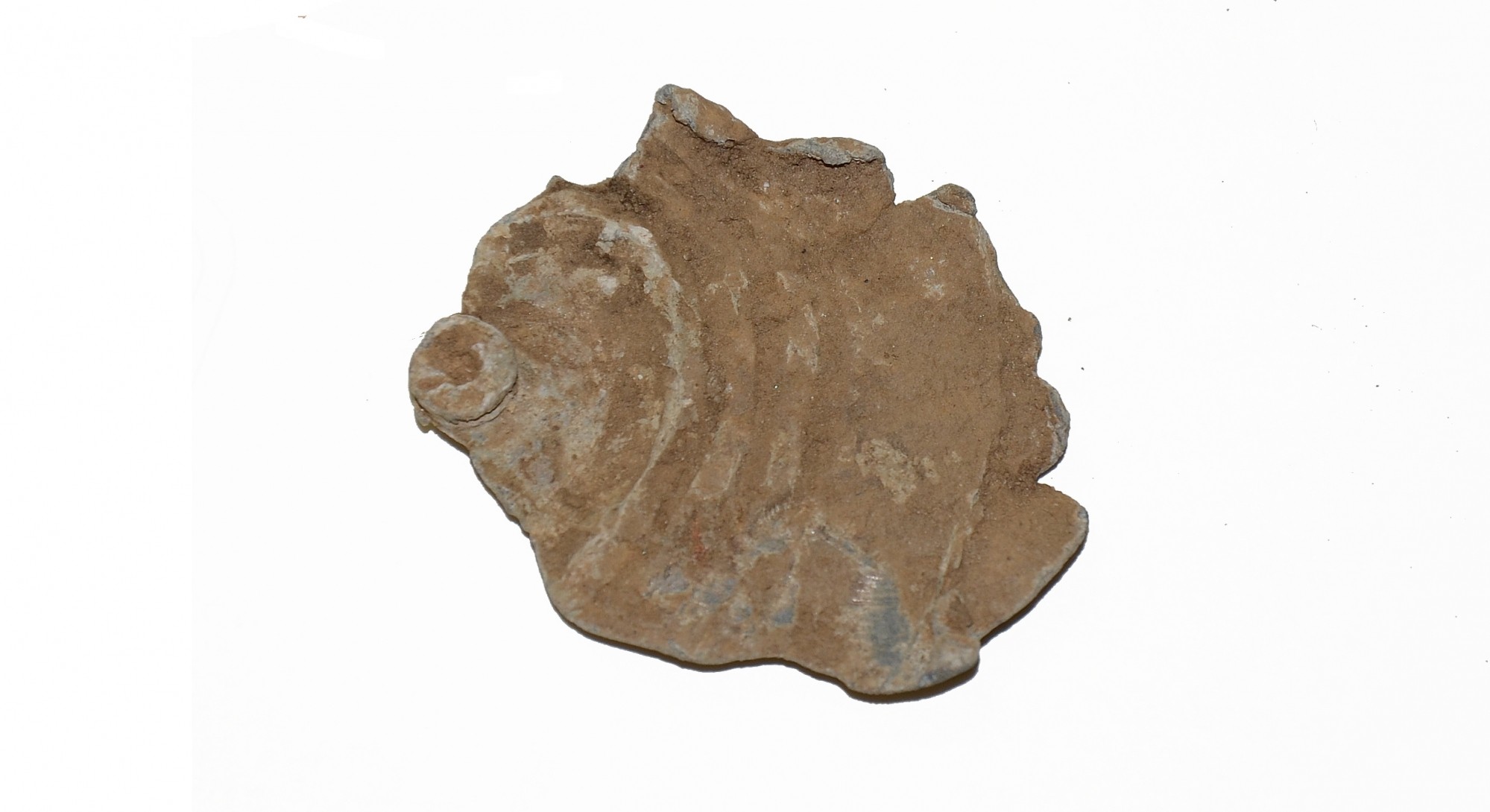 STRUCK WILLIAMS CLEANER TYPE I BULLET RECOVERED FROM CULP’S HILL AREA