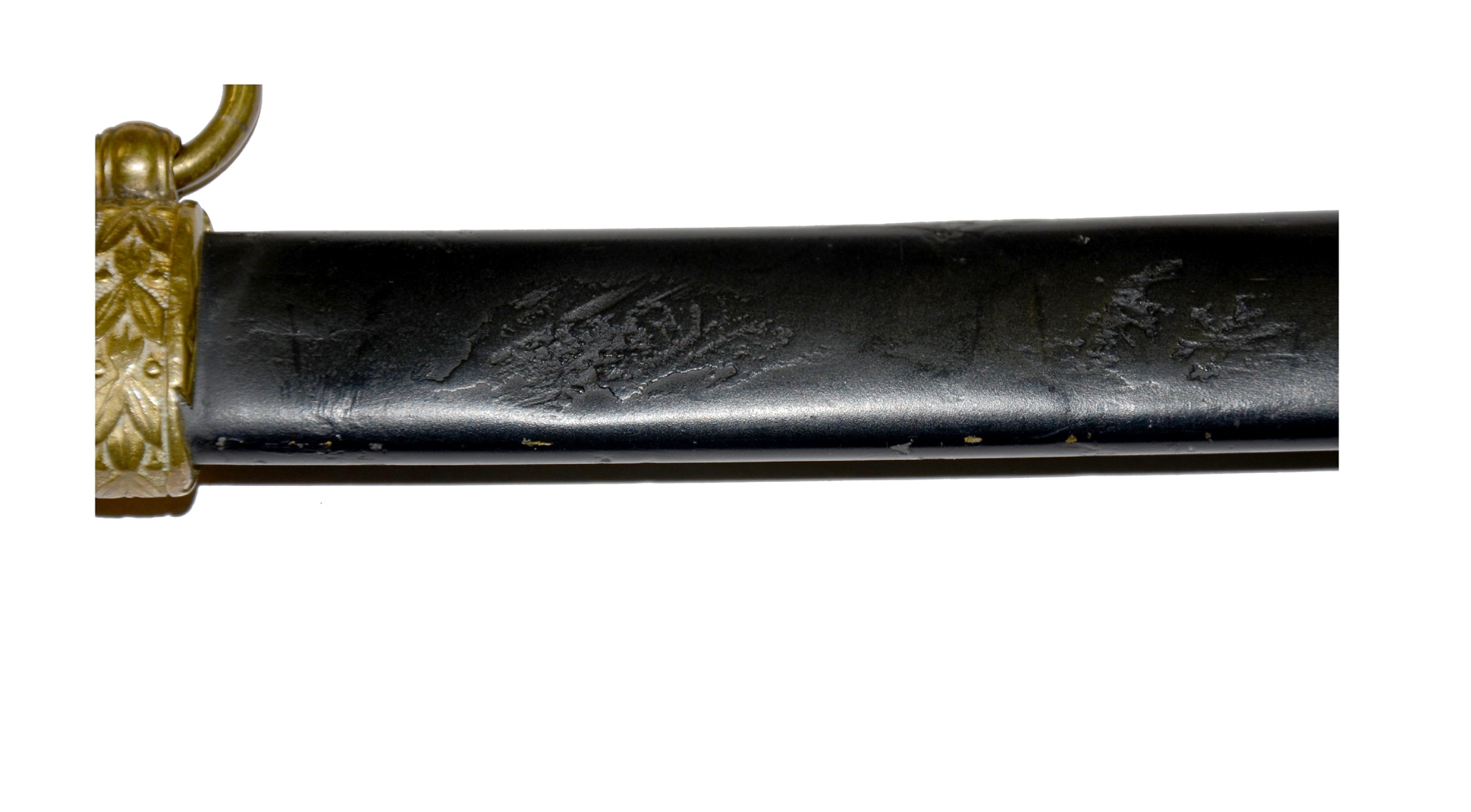 Image 15
