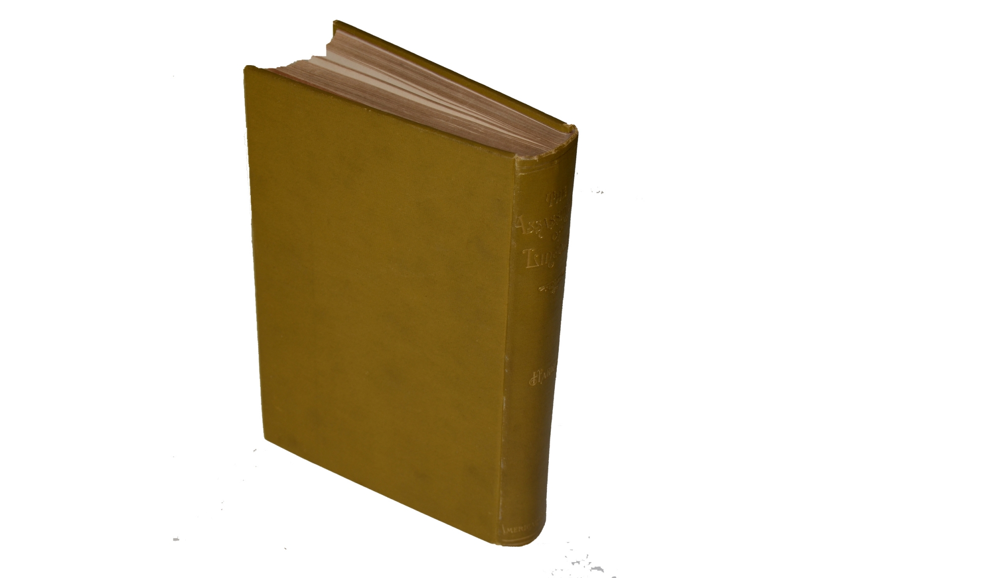 Image 2