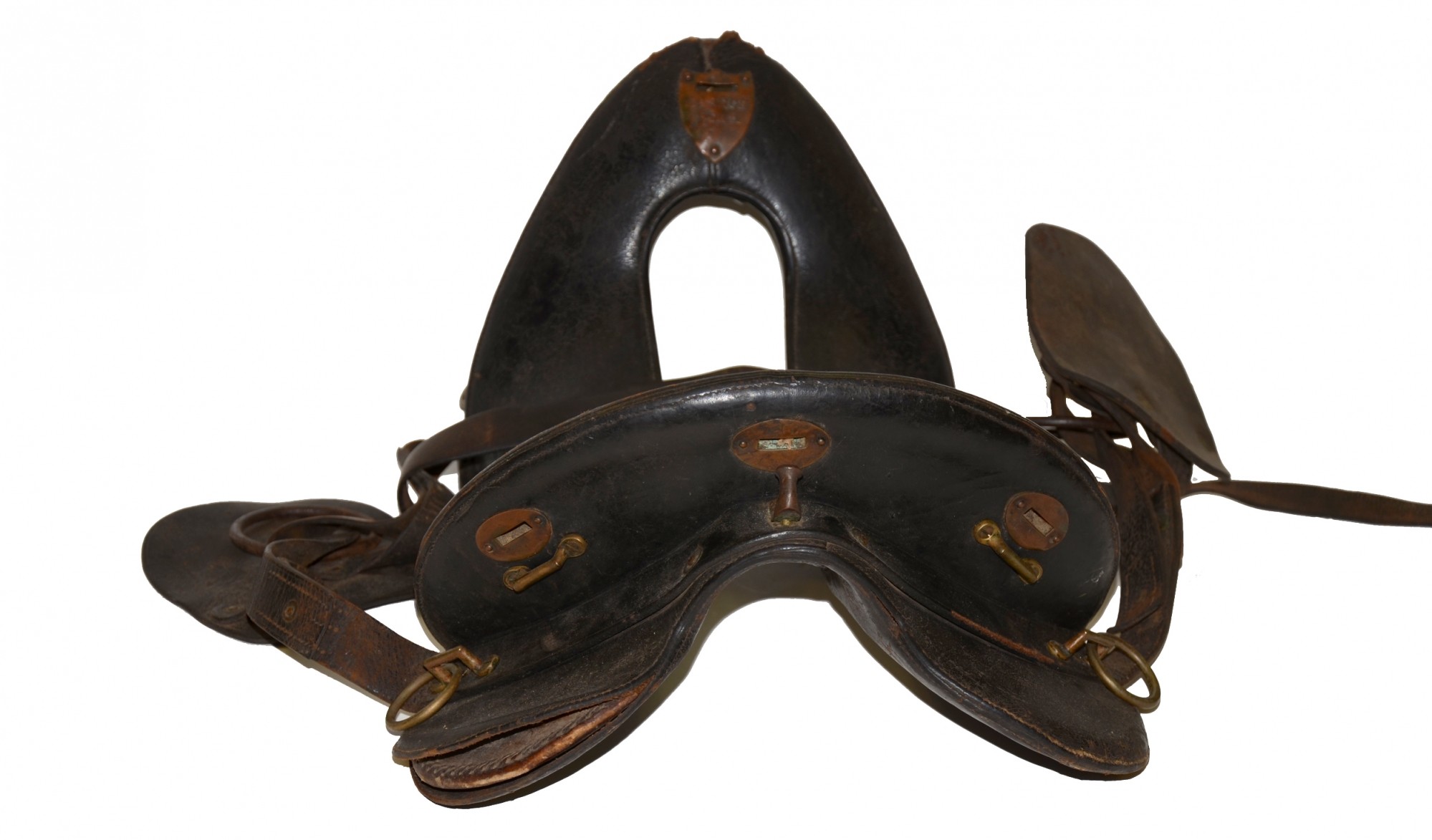 Image 6