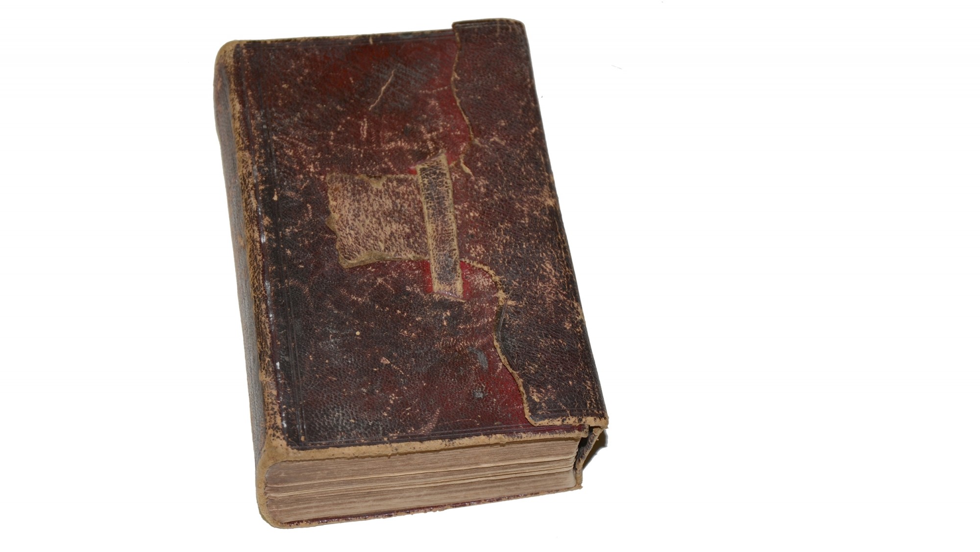 Image 4
