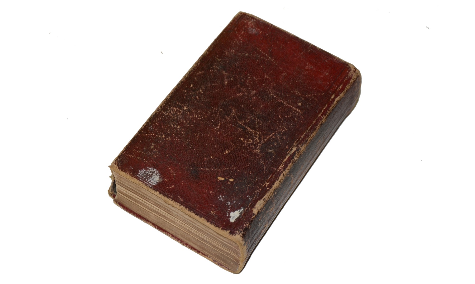 Image 5