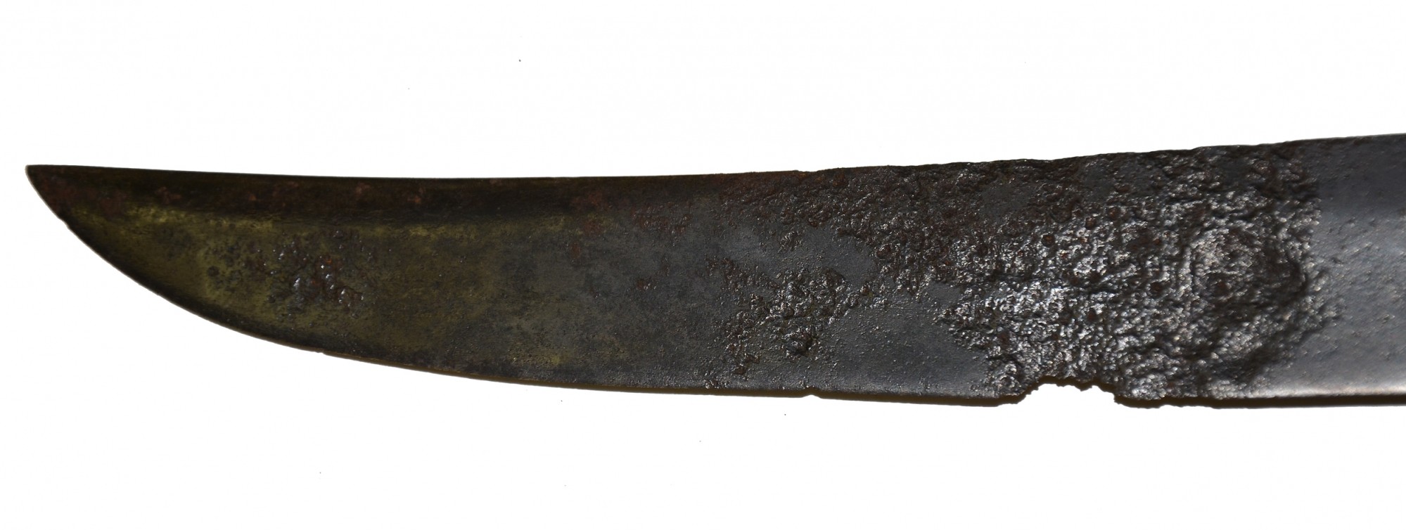 Image 11