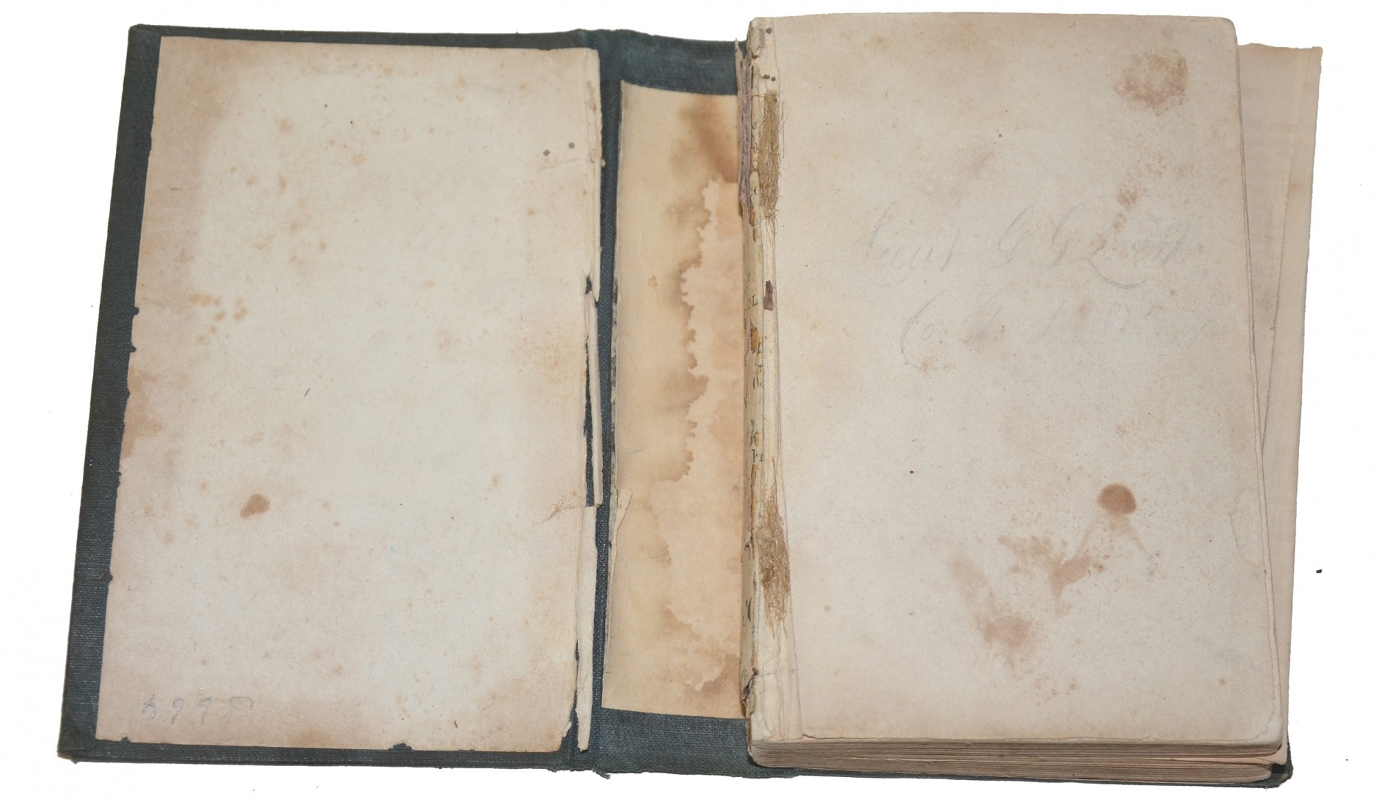 Image 4