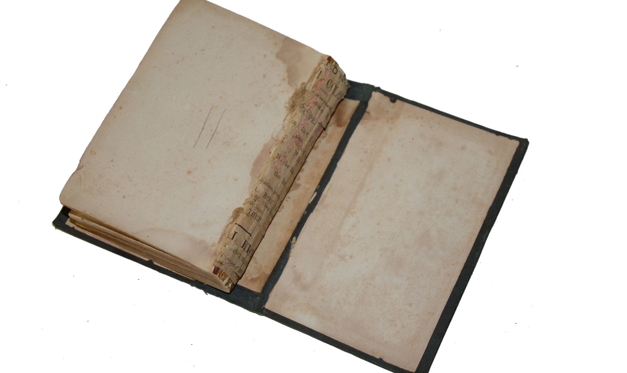 Image 9