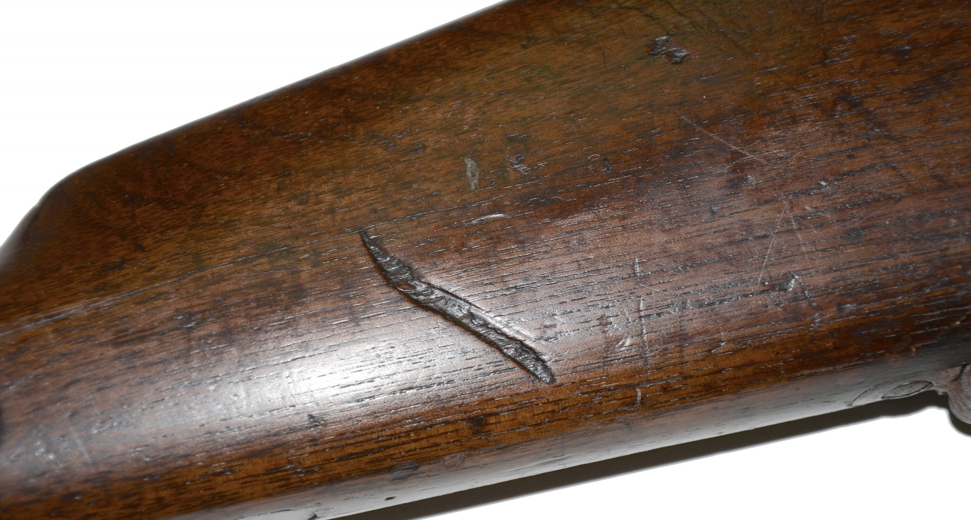 Image 13