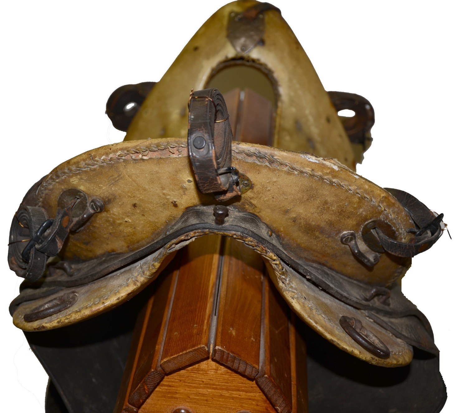 Image 7