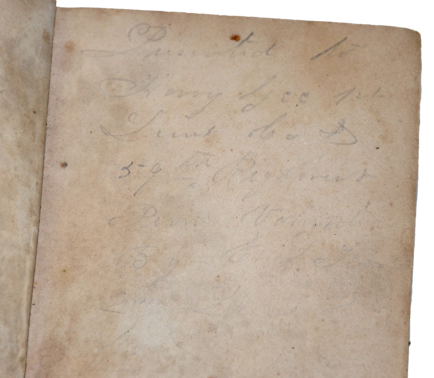 Image 2