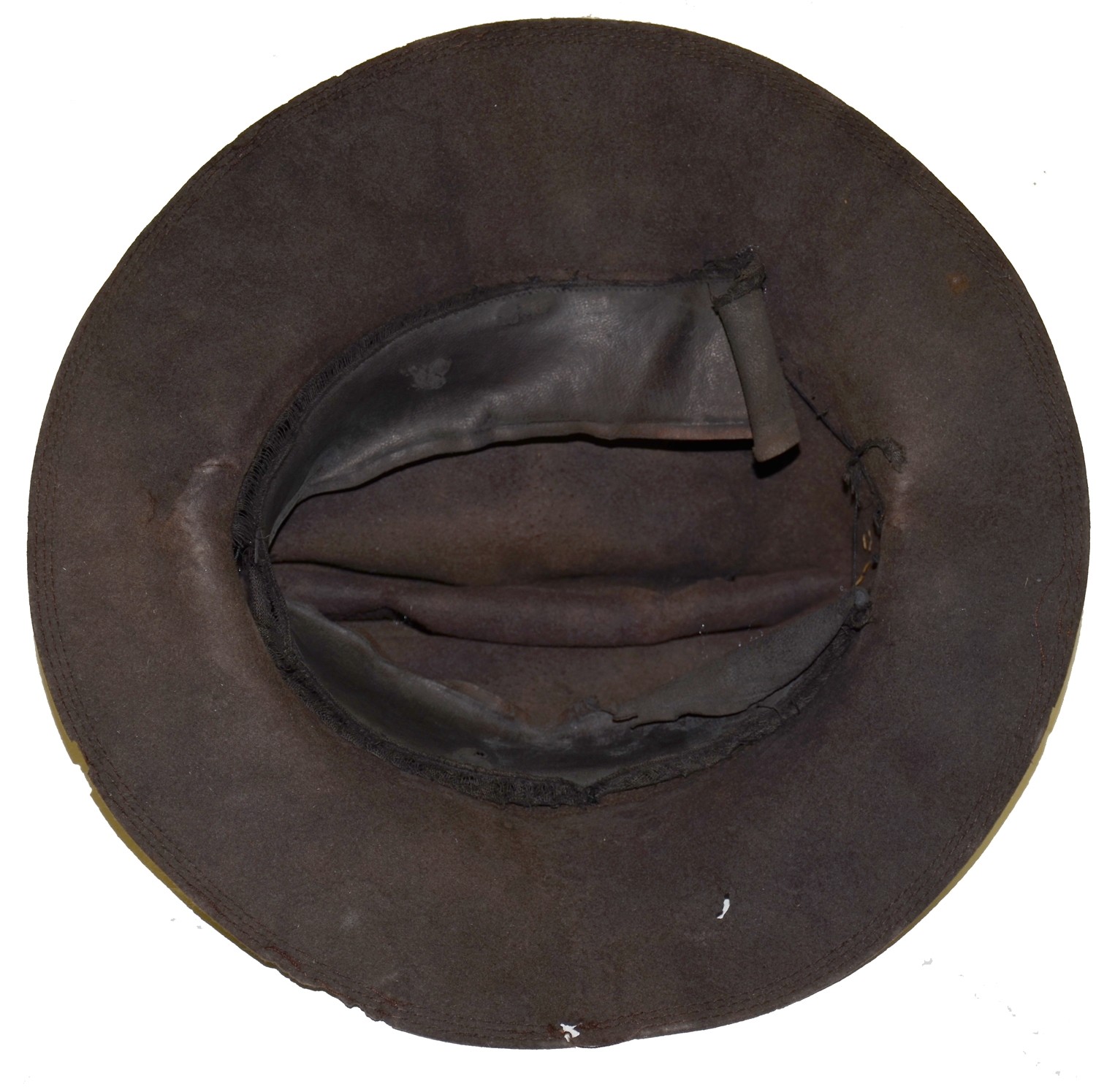Image 11