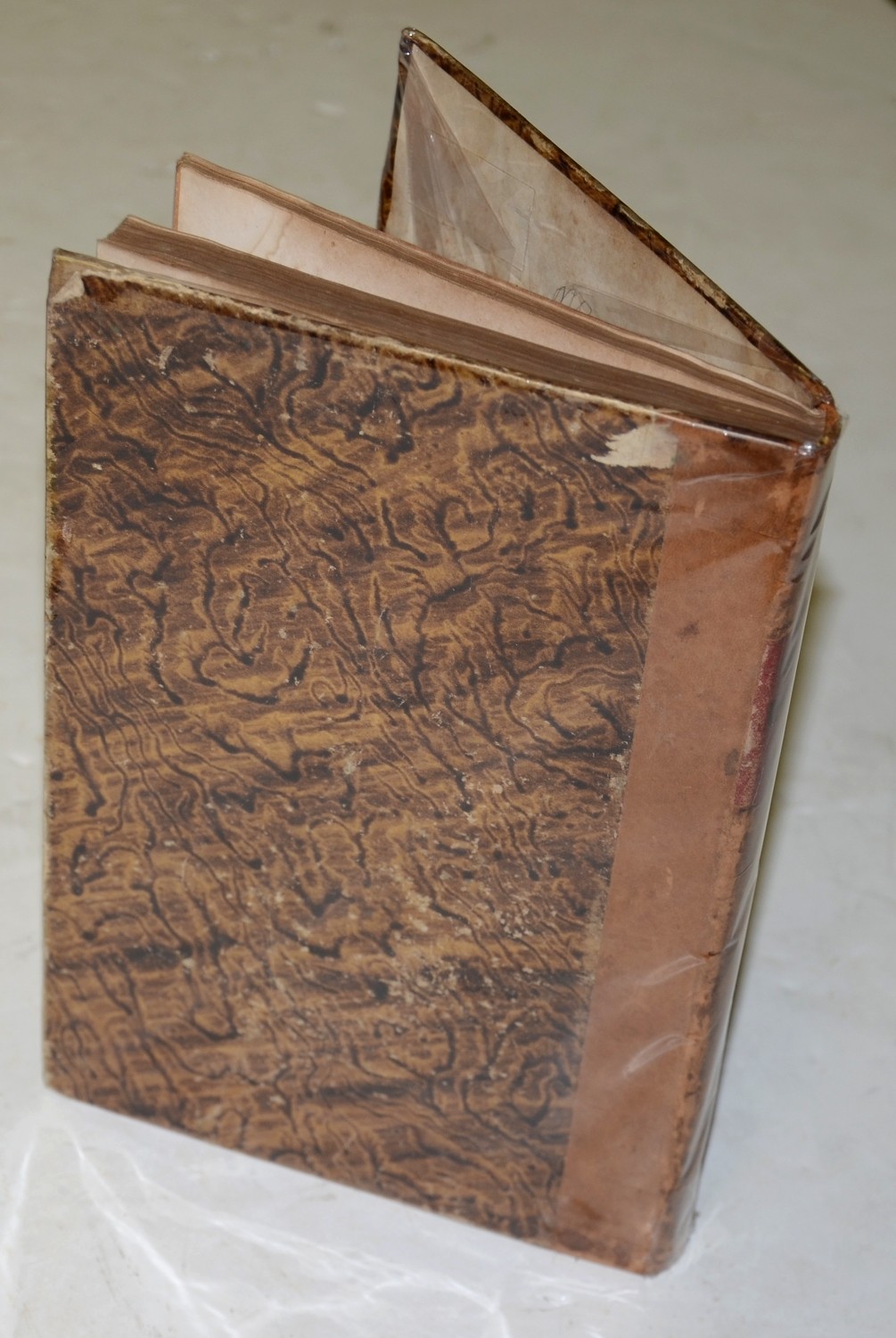 Image 5