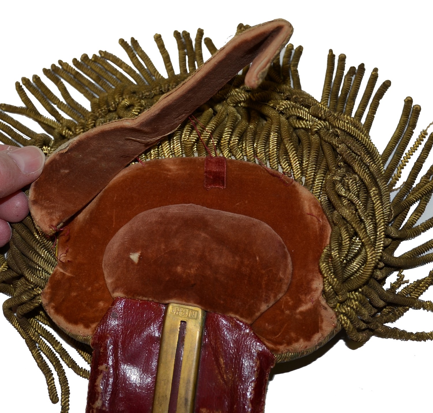 Image 5