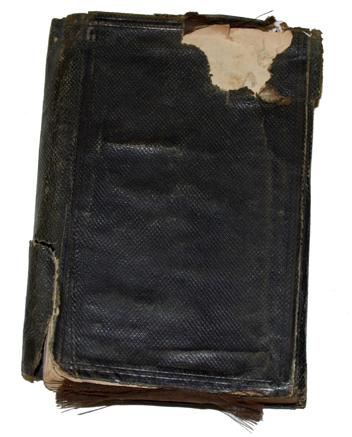 Image 10