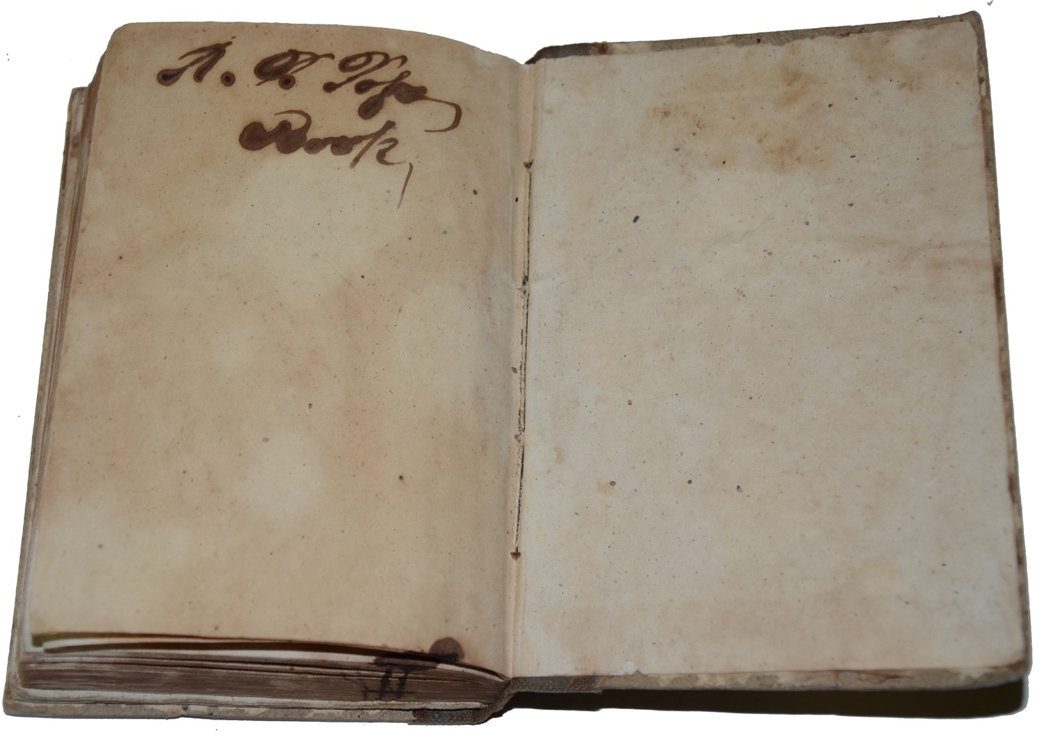 Image 7