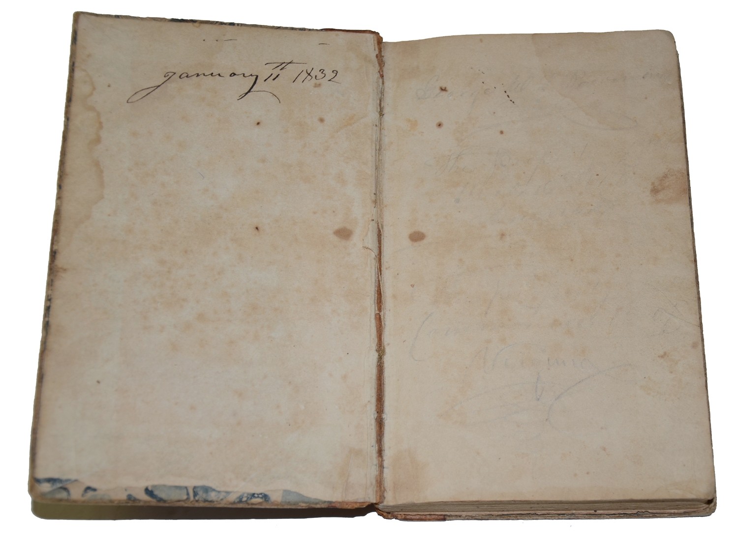 Image 4
