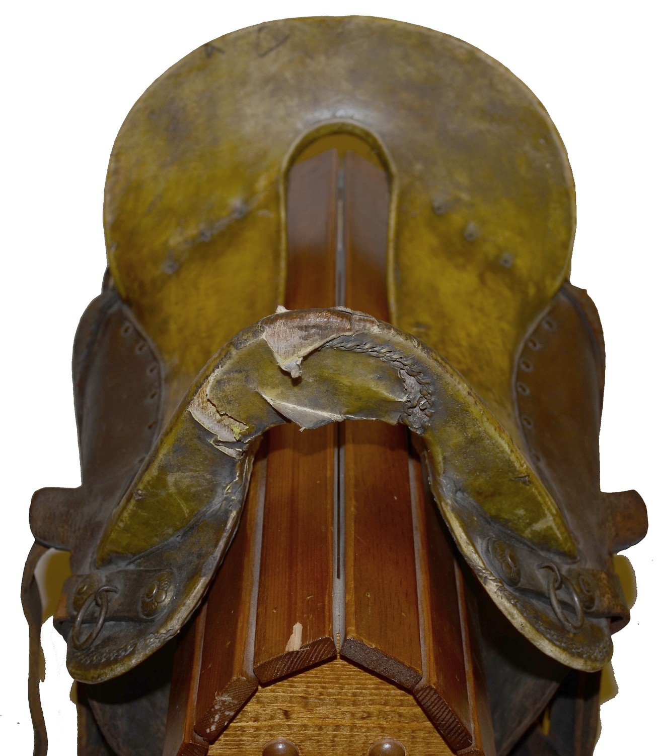 Image 8