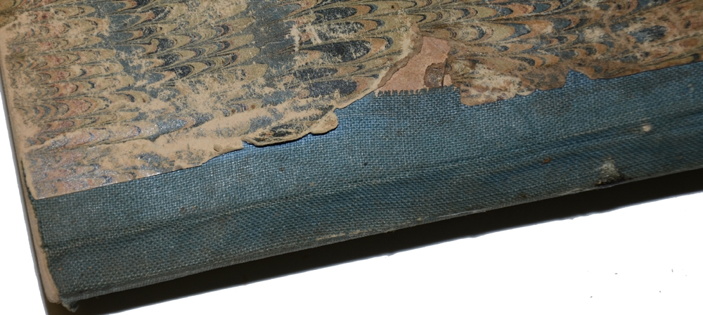 Image 7